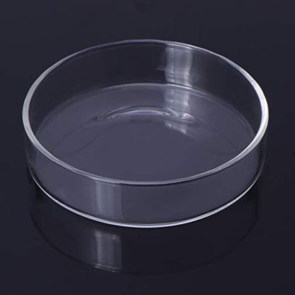 Shrimp Feeder Glass Feeding Dish Aquarium Fish for Tank Reptiles Round Clear Food Bowl 3.9" 3.5" 3.2" 3.0" 2.6" 2.4" Tra Aquarium Heater Light Thermometers Gravel Sand Decorations