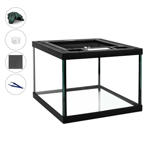 Mini Reptile Glass Tank 8 * 8 * 6inch Terrarium for Start with Top Ventilation for Turtle,Spider,Hermit Crab,Geock,Frog AMD Beard Dragon