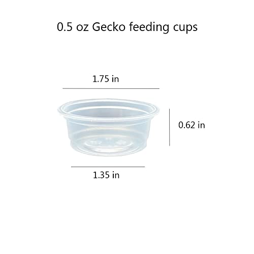 100 pcs Small Gecko Food and Water Cups Plastic Reptile Feeding Bowls Ledge Accessories for Crested Gecko Lizards Small Pets, 0.5 oz