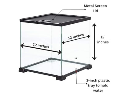 Terrarium Pro Kit – The Ultimate Snail Care Starter Pack for Giant African Land Snails, Helix Aspersa, Helix Pomatia, Grove Snails, etc