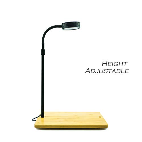 Height Adjustable Full Spectrum Nano LED Light, fits Nano Tanks, Wabi kusa, Potted Plants, Betta Tanks