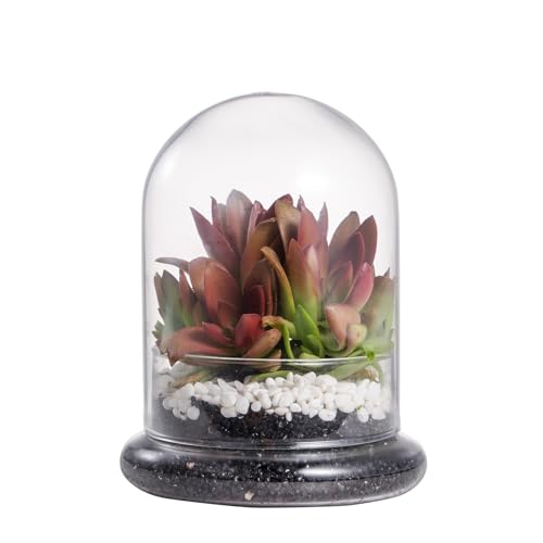 NCYP Small Clear Decorative Glass Terrarium Cloche with Air Hole - 4.7 x 4.7 x 6.3 Inches Glass Dome with Base for Miniature Plants - Display Storage (No Plants Included) - size: 4.7x4.7x6.3inches