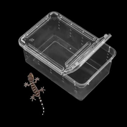 Reptile Breeding Case Feeding Box Transparent Transport Hatchling Cage Lightweight PP Material Suitable for breeding Reptiles Outdoor, Style B - size: Style B