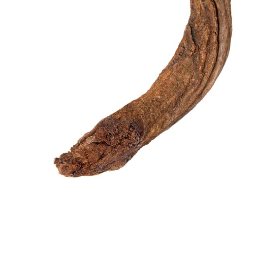 Galapagos (05314) Jungle Wood, Natural Brown, 5 Ft. - color: Brown, size: 5 ft