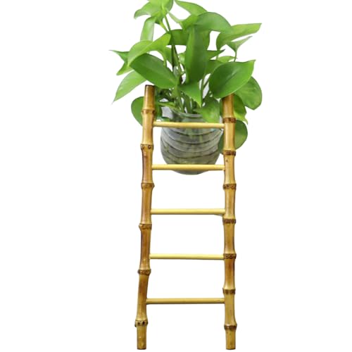 Snake Climbing Ladder Reptile Decor for Terrarium Exercise Enrichment for Ball Pythons Corn Snakes Lizards