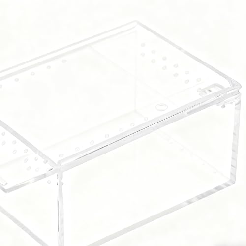 Spider Terrarium, Transparent Breeding Feeding Box, Acrylic Snake Enclosure Feature, Reptile and Amphibian Habitat Design with Usage for Lizard Frog Turtle Observation Breeding Feeding Pet Home