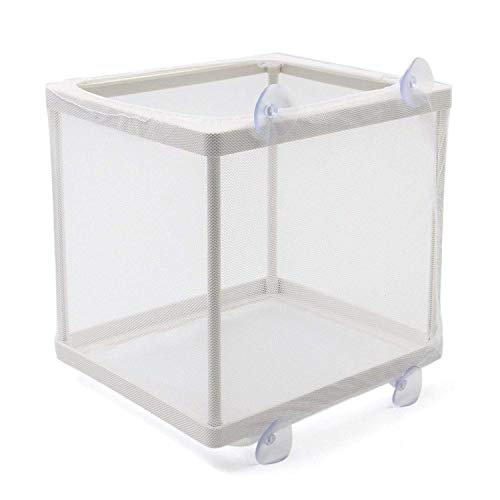 COMOK Fish Hatchery Breeder Box Aquarium Separation Net Nylon Incubator Mesh Fish Breeding Tanks Isolation Box White Square 20PCS - color: White Square