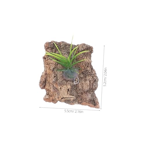 20pcs Natural Cork Bark for Reptile Tank Terrarium Background Decay-Resistant Climbing Bark Maintenance Friendly Hide for Lizards Turtles Snakes Aquarium Decor