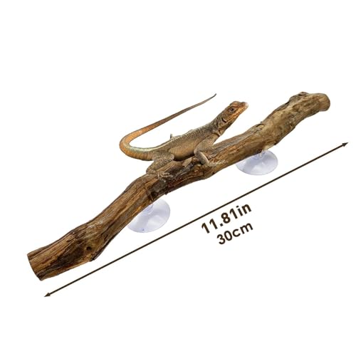 Reptile Climbing Stick – Flexible Snake Climbing Branch, Natural Tank Decor Vine | Terrarium Setup Branch Decoration, Habitat Enrichment for Tree Frogs, Lizards, Geckos, Chameleons, Iguanas