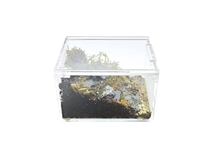 Herpcult Magnetic Acrylic Mini-Flat Enclosure 3 x 4 x 2.5
