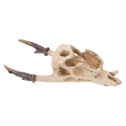 Reptile Resin Skull Hideout Terrarium Decoration Medium Size Aquarium Skull Ornament Turtle and Lizard Habitat Accessory for Hiding and Climbing