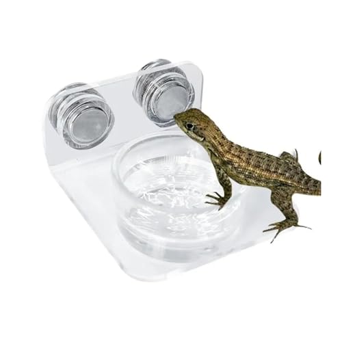 Magnetic Reptile Feeding Ledge Suction Cup Food Tray Gecko Reptile Feeding Station for Lizards Chameleons Terrarium Bowls(A) - color: A