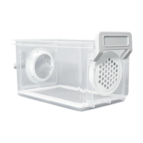 Breeding Box, Reptile Feeding Box, Transparent Terrarium, Habitat, Animal Holder for Raising Mealworms, Style A - color: style A