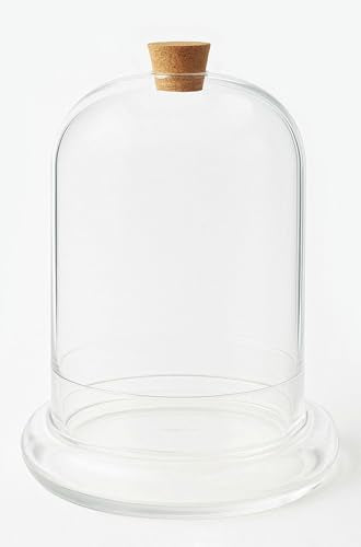 Handblown 12" Glass Terrarium with Opening for Air Flow & Cork Stopper Cloche Style Glass Dome Vivarium Display Case (Extra Large) - size: Extra Large