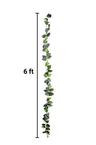 Pangea Leafy Vine for Reptile Terrarium Habitat (Japanese Laurel)