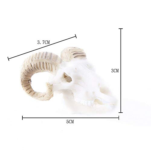 Wixine 1Pcs Aquarium Resin Sheep Head Skull Fish Tank Ornament Terrarium Reptile Decorations