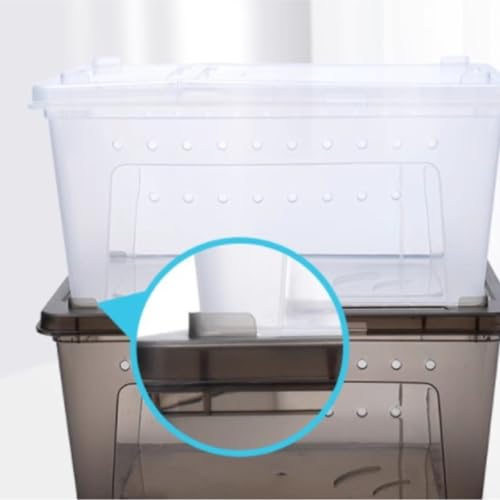 Reptile Breeding Box Reptile Feeding Box Breeding Hatching Container Pet Houses Faunarium(White) - color: White
