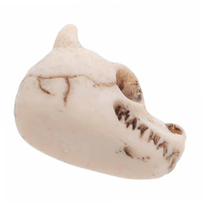 jojofuny 20pcs Resin Mini Dragon Skull Yard Ornaments for Outdoor Garden Lawn Decoration, Small Skull Figurines for Fish Tank and Terrarium, Dragon Head Resin Sculptures