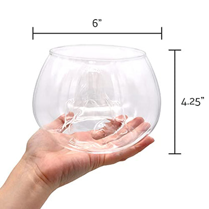 6 Inch Glass Mountain Bowl DIY Terrarium Kit with Sand, Gold Flakes and 3 Live Tillandsia Air Plants for Indoor Gardens and Home Decor