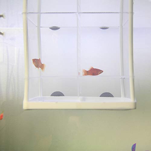 Senzeal Aquarium Fish Breeder Box Fish Fry Hatchery Incubator Net Nylon Isolation Mesh with 3pcs Pipette(Small) - size: Small