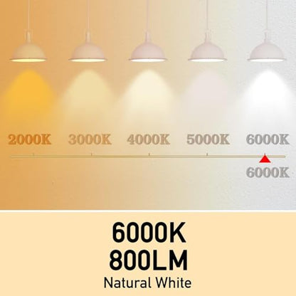 Full Spectrum Light Bulb, 6000K Natural Sunlight Bulbs, 9W 60W Equivalent LED Light Bulb, Natural Light Bulbs A19, E26/E27 LED Light Bulbs for Home, 2 Pack - color: 6000k Daylight, size: 2 Count (Pack of 1)