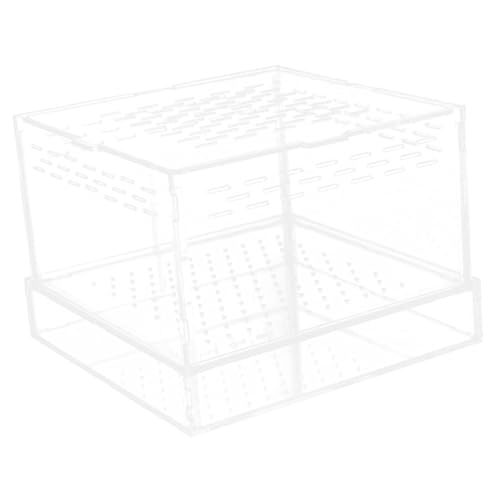 Abaodam Hatching Container with Lid Spider Scorpion Gecko Feeding Case for Reptiles Cage