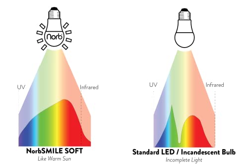 Norb NorbSMILE Soft Full Spectrum Light Bulb | US Patented | A19 LED Bulb & 11W 800 Lumens | 4000K Soft Daylight White, CRI 96 & Dimmable E26 Base | Supports Energy, Mood & Circadian Rhythm - style: Smile Soft 11W (1 Pack)
