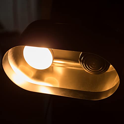 REPTI ZOO Dual Reptile Light Fixture, Reptile Heat Lamp Combo Pack Include 100W Full Spectrum UVA UVB Light Basking Spot Lamp Bulb & 100W Ceramic Heat Emitter Heating Bulb