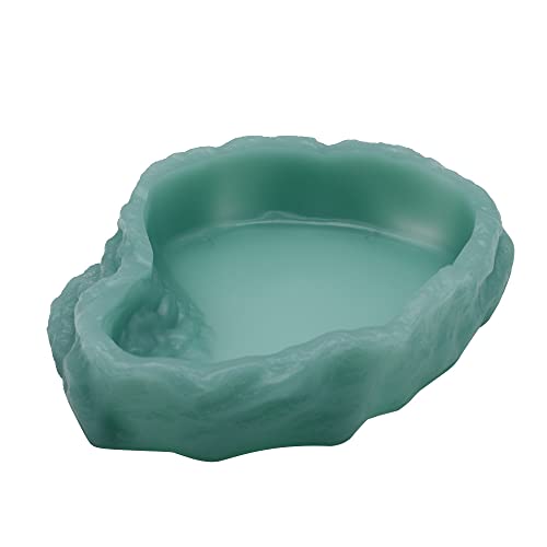 Reptile Water Dish,Resin Reptile Rock Food Feeder Bowl, Water and Food Bowl,Terrarium Decor for Leopard Gecko, Lizard,Spider,Turtle,Scorpion, Chameleon,Hermit Crabs (M, Green-Glow in Dark) - color: Green-glow in dark, size: M