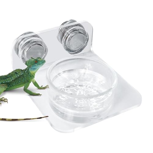 Gecko Feeder - Gecko Feeding Ledge Suction Cup, Reptile Food Feeder Bowl, Suction Cup Food Tray Lizard | Acrylic, Magnet, Bowls, Reptile Feeding Ledge for Lizards, Chameleons, Tree Frogs, - color: A
