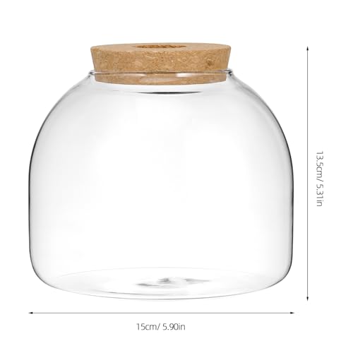 Totority Glass Terrarium Jar with Stopper for Hydroponic Plants and Moss Mini Transparent Ecosystem Container with Wood Cork Lid Decorative Indoor Plant Terrarium for Home and Office Desk