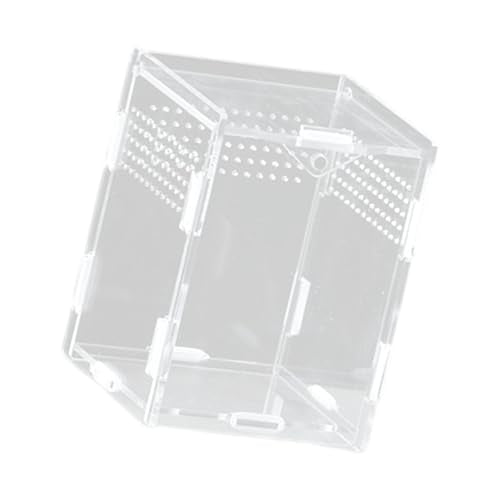 Clear Acrylic Reptiles Tanks with Ventilation Holes Terrarium Box for Small Lizards and Snake Jumping Spiders Watching Reptiles Container Box - size: 8X7X10 vertical
