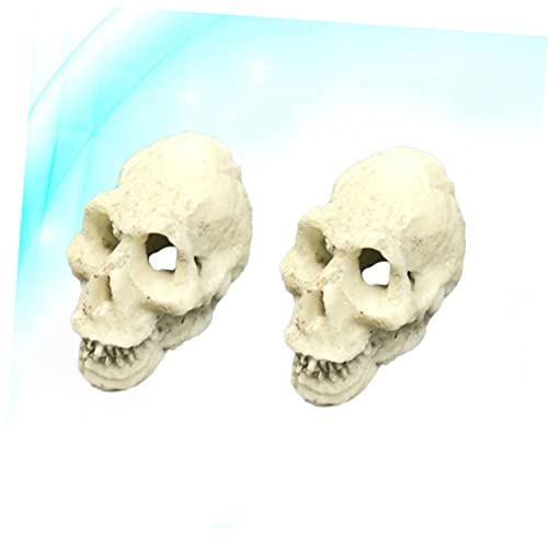 Gecko Tank Accessories 2pcs Mini Skulls for Aquarium Human Skull Aquarium Decoration Reptile Tank Decor Style