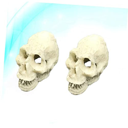 Gecko Tank Accessories 2pcs Mini Skulls for Aquarium Human Skull Aquarium Decoration Reptile Tank Decor Style