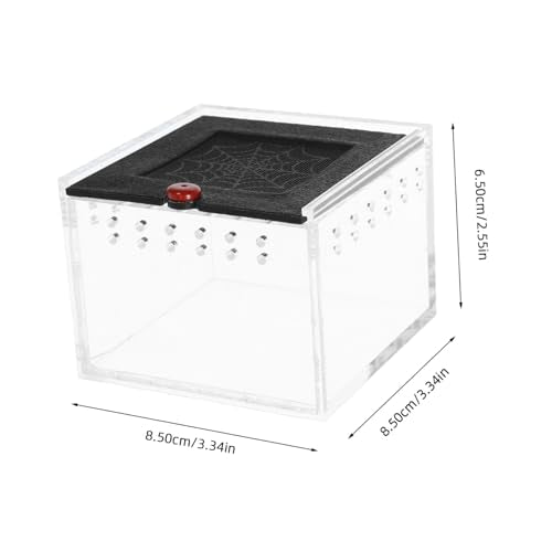 Small Animal Breeding Box Acrylic Reptile Case Waterfall for Lizards Spiders Easy Viewing Design