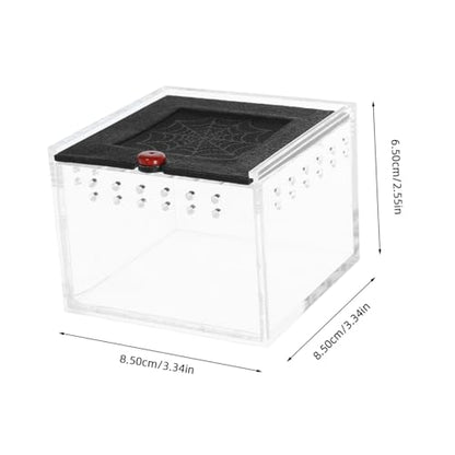 Small Animal Breeding Box Acrylic Reptile Case Waterfall for Lizards Spiders Easy Viewing Design