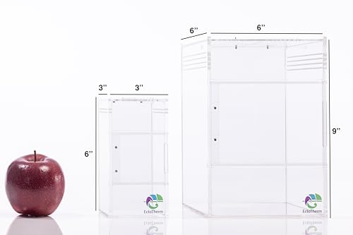 EctoTherm Jumping Spider Enclosure - for Habitat, Terrarium Kit and Arboreal Tarantula Enclosure - size: Small/Medium