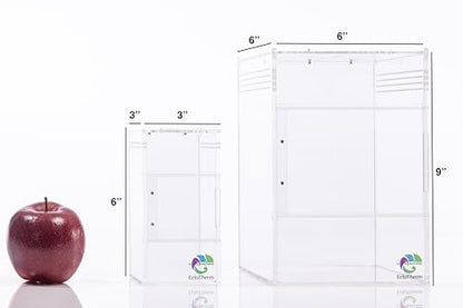 EctoTherm Jumping Spider Enclosure - for Habitat, Terrarium Kit and Arboreal Tarantula Enclosure - size: Small/Medium