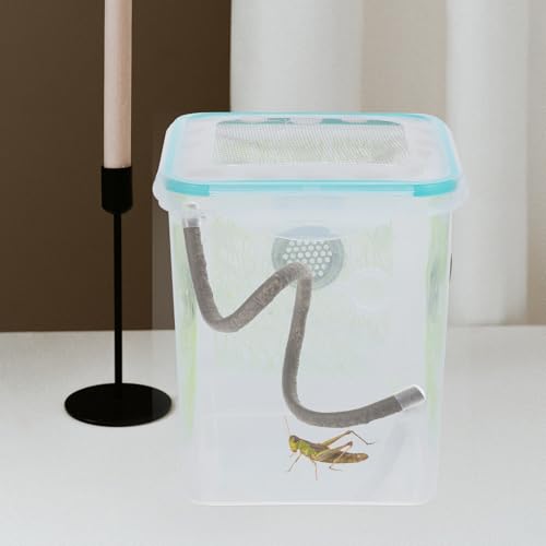 BESPORTBLE Reptile Climbing Branch Suction Cups and End Caps, Artificial Vine for Gecko Tank Accessories and Hermit Crab Habitat Decoration, 0.5 Meter Flexible Jungle Vine for Lizard