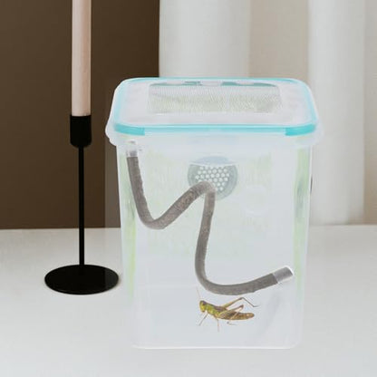 BESPORTBLE Reptile Climbing Branch Suction Cups and End Caps, Artificial Vine for Gecko Tank Accessories and Hermit Crab Habitat Decoration, 0.5 Meter Flexible Jungle Vine for Lizard
