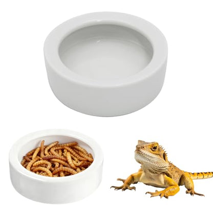 Escape-Proof Reptile Food Dish Bowl, Ceramic Reptile Feeding Dish & Small Animal Bowl for Lizard, Leopard Gecko, Hermit Crab, Hamster, Anti Escape Live Food & Water Dish (3x1in) - size: Medium-1Pack