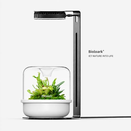 Bioloark MY-150K Glass Plant Terrarium with Ceramic Base, 6.4” x 6.7” White, Moss Terrarium Container with Clear Glass Cover, Ventilation Holes, Moisture Cycle Lid for Ferns, Succulents & Small Plants - color: MY-150K (6.4 "X6.7")White
