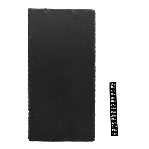 Slate Tiles for Reptiles, Food Bowl Dish Feeding Slate Tortoise Habitat Accessories for Reptiles Tank (30 x 15 cm)
