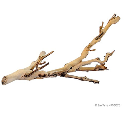 Exo Terra Forest Branch Small – Natural Wood Terrarium Decoration for Reptiles, Amphibians & Small Pets - size: Small
