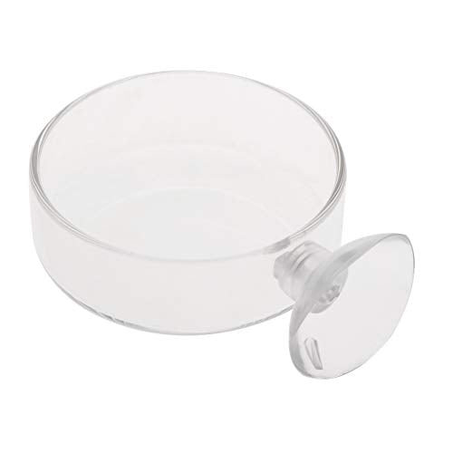 Shrimp Feeder Glass Feeding Dish Aquarium Fish for Tank Reptiles Round Clear Food Bowl with Suction Cups 2.4x0.7 Inch Heater Light Thermometers Plants Air Pump Gravel Sand Decorations Filter Filter