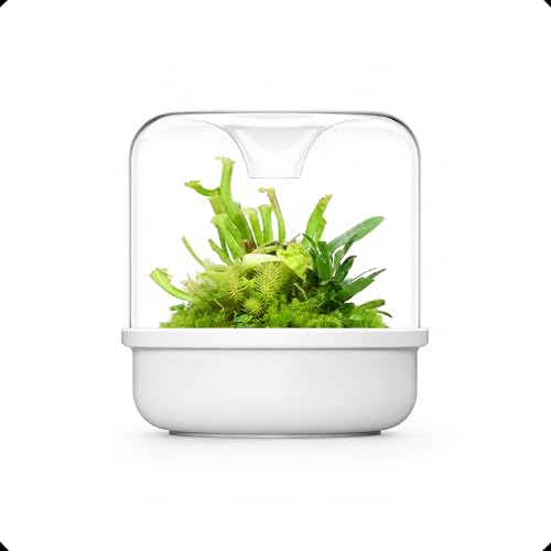 Bioloark MY-150K Glass Plant Terrarium with Ceramic Base, 6.4” x 6.7” White, Moss Terrarium Container with Clear Glass Cover, Ventilation Holes, Moisture Cycle Lid for Ferns, Succulents & Small Plants - color: MY-150K (6.4 "X6.7")White