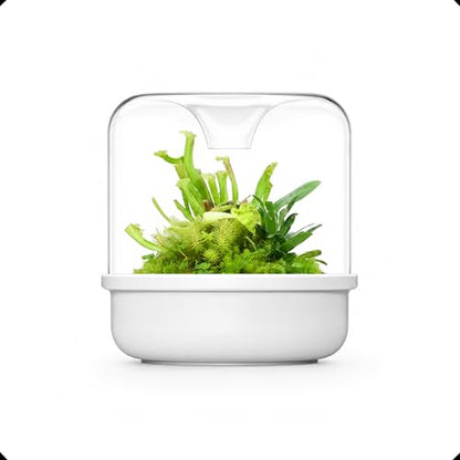 Bioloark MY-150K Glass Plant Terrarium with Ceramic Base, 6.4” x 6.7” White, Moss Terrarium Container with Clear Glass Cover, Ventilation Holes, Moisture Cycle Lid for Ferns, Succulents & Small Plants - color: MY-150K (6.4 "X6.7")White