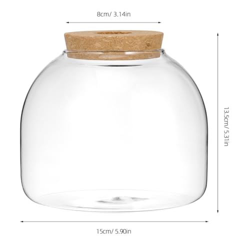 ULTECHNOVO 5.9" Glass Terrarium Jar with Wood Stopper – Airtight Mini Ecosystem Jars with Cork Lids for Hydroponic Plants & Moss, Micro Landscape Decor for Bedroom, Office, Gift for DIY Gardeners