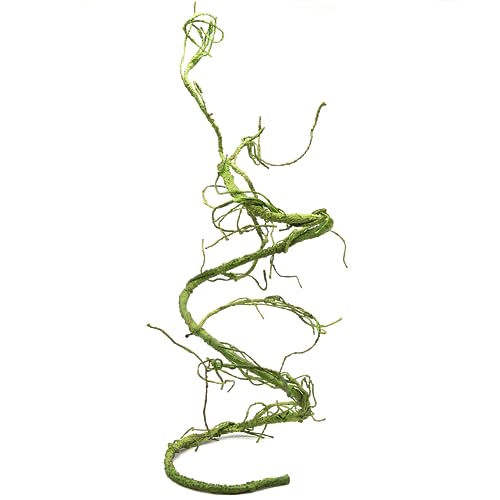 Pangea Reptile Ultimate Vine for Terrarium Habitat (Green) - color: Green