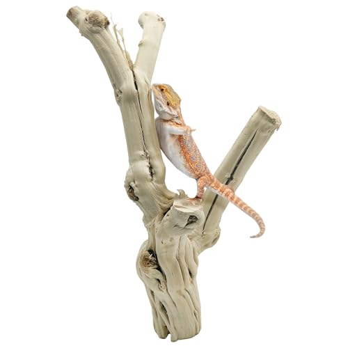 Reptile Branches for Climbing Natural Snake Climb Branch Extra Large Wood Forest Tree Trunk Decor Lizard Habitat Terrarium Decorations for Bearded Dragon Geckos Chameleon Frog - color: Wood, size: 15 - 17 inches
